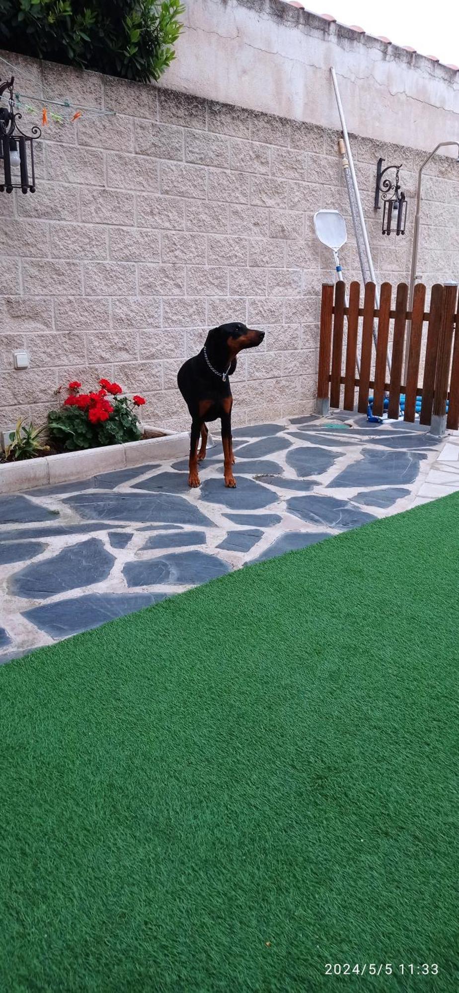Holiday home La Madriguera De Toledo